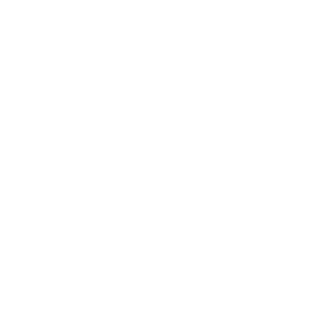 BridgeToyota